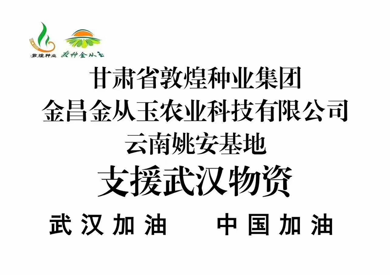 眾志成城 抗擊疫情 敦煌種業(yè)金從玉在行動(dòng)